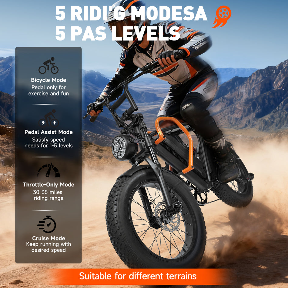 APYEAR 20"x4" Fat Tire 1500W Motor